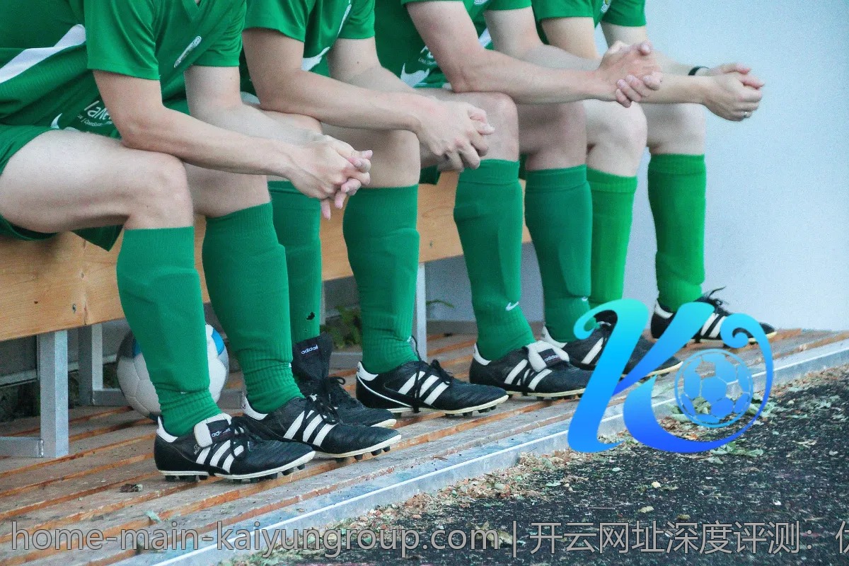 开云网址深度评测：优缺点一网打尽
